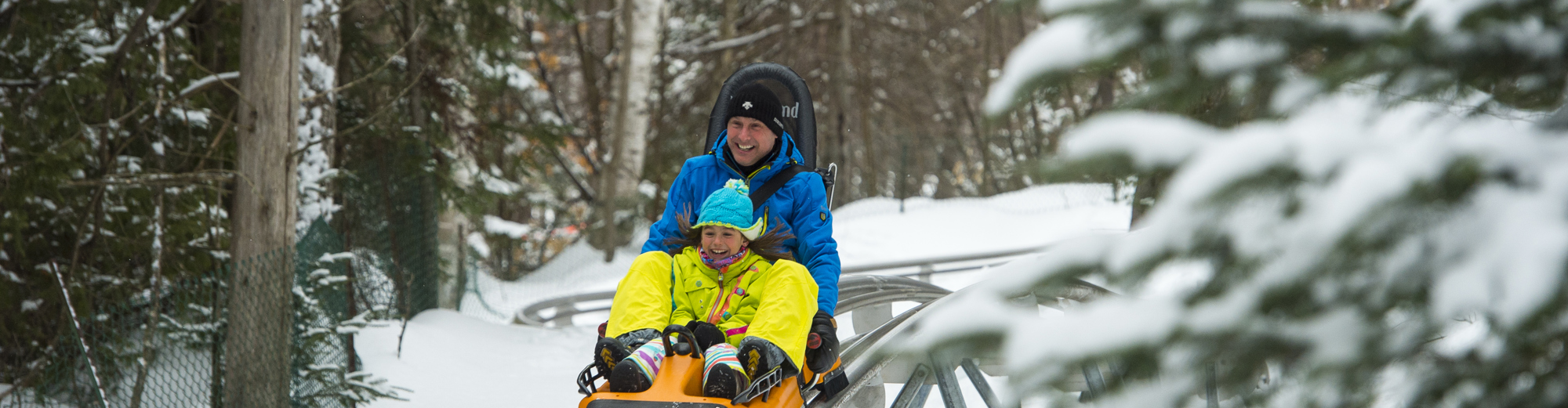 Sommet Saint-Sauveur - Alpine roller coaster