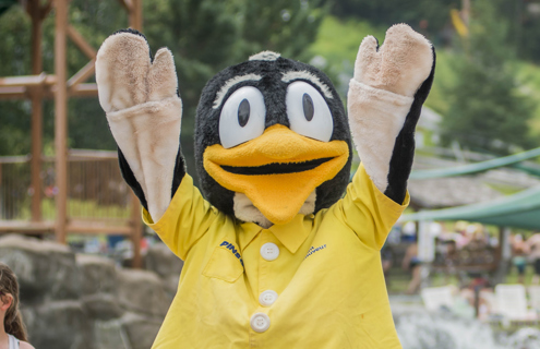 Must be at least 5'5" and 130 pounds to wear the costume comfortably - Ability to work with the public, especially young children - Good humor and energy required