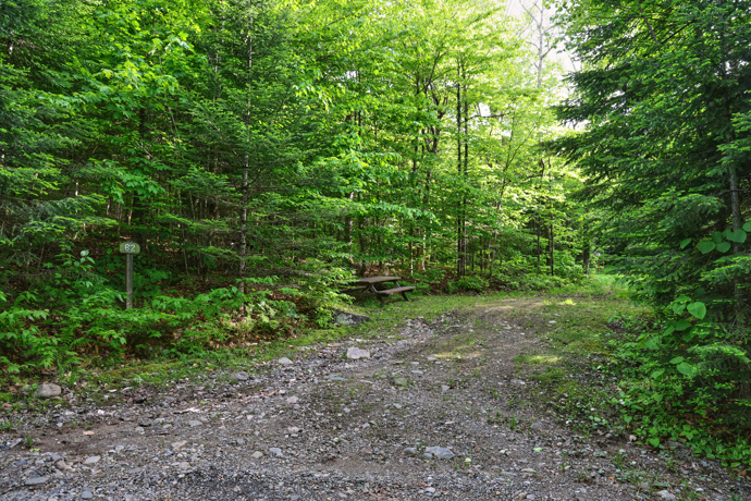 Site 82 - Renards