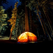 Camping et cabines