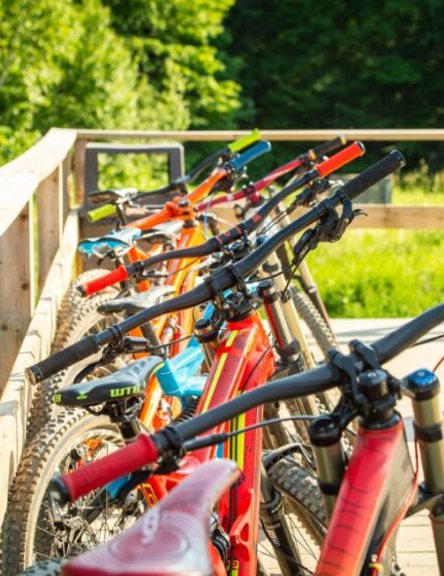 Bike rentals and trails