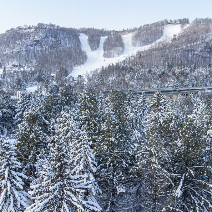 Vallée Saint Sauveur Drone Gabriel Arbre Autoroute