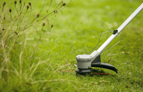 Bonne forme physique - Aime travailler à l'extérieur - Fiabilité - Ponctualité - Aime le travail en équipe