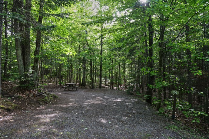 Site 24 - Marmottes
