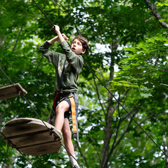Sommet Morin Height Acro Nature Jeune Enfant Gars Arbre Parcour Jour
