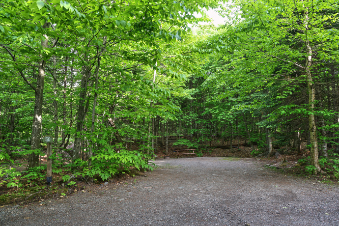 Site 50 - Loups