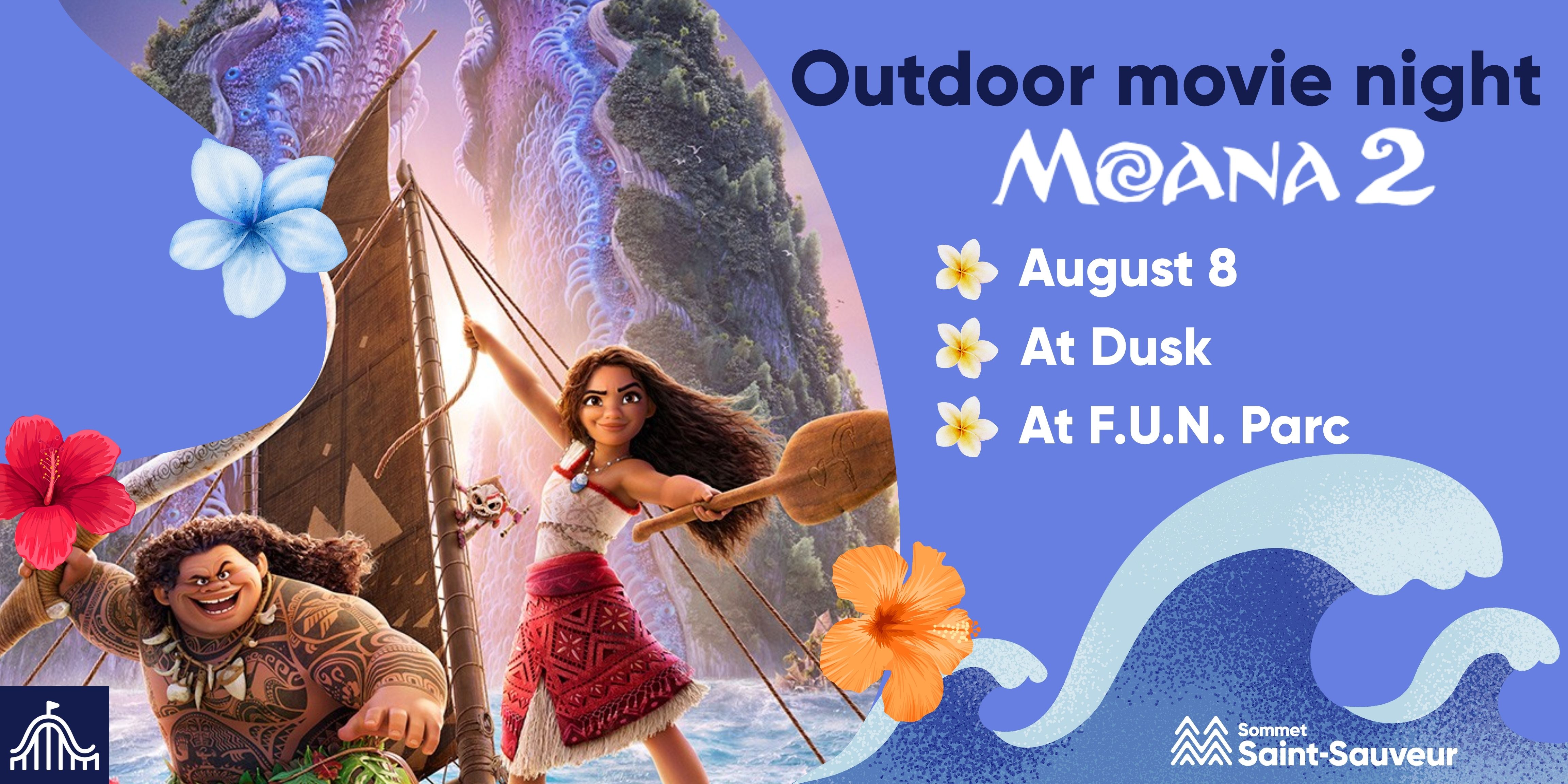 Outdoor movie night