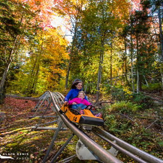 Viking Automne Paysage