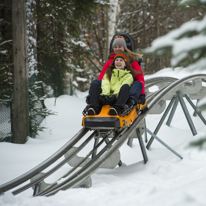Alpine roller coaster