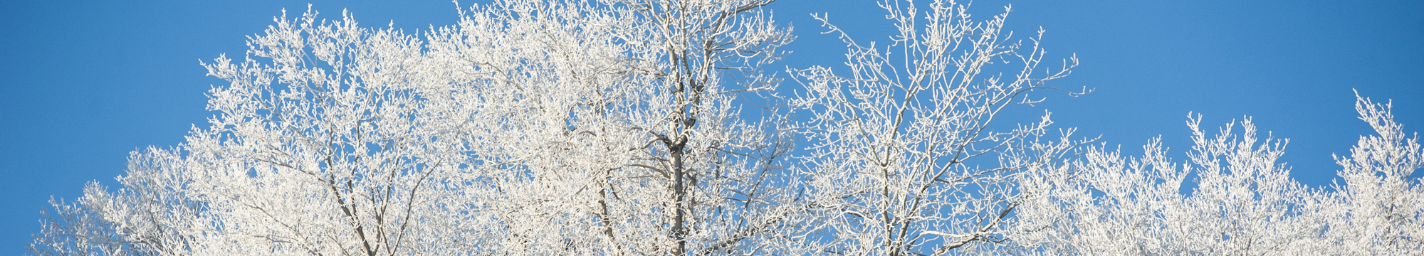 Sommet Edelweiss - Billets - Ski