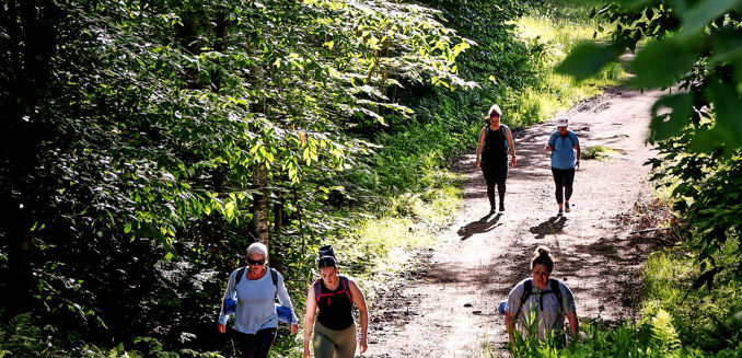 Sommet Saint Sauveur Randonnee Yoga Nature Amis Marche