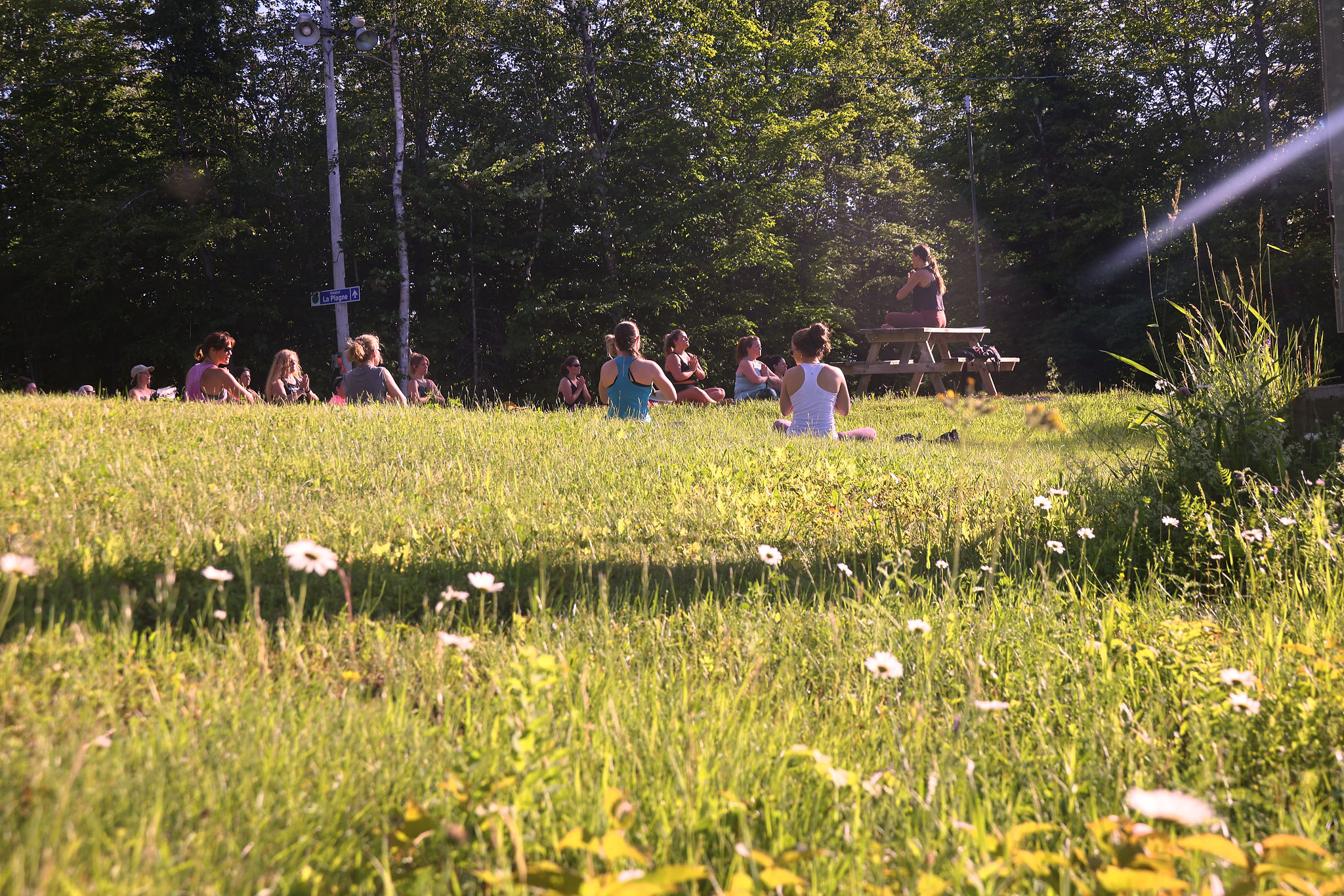 Sommet Saint Sauveur Randonnee Yoga Nature Amis Groupe