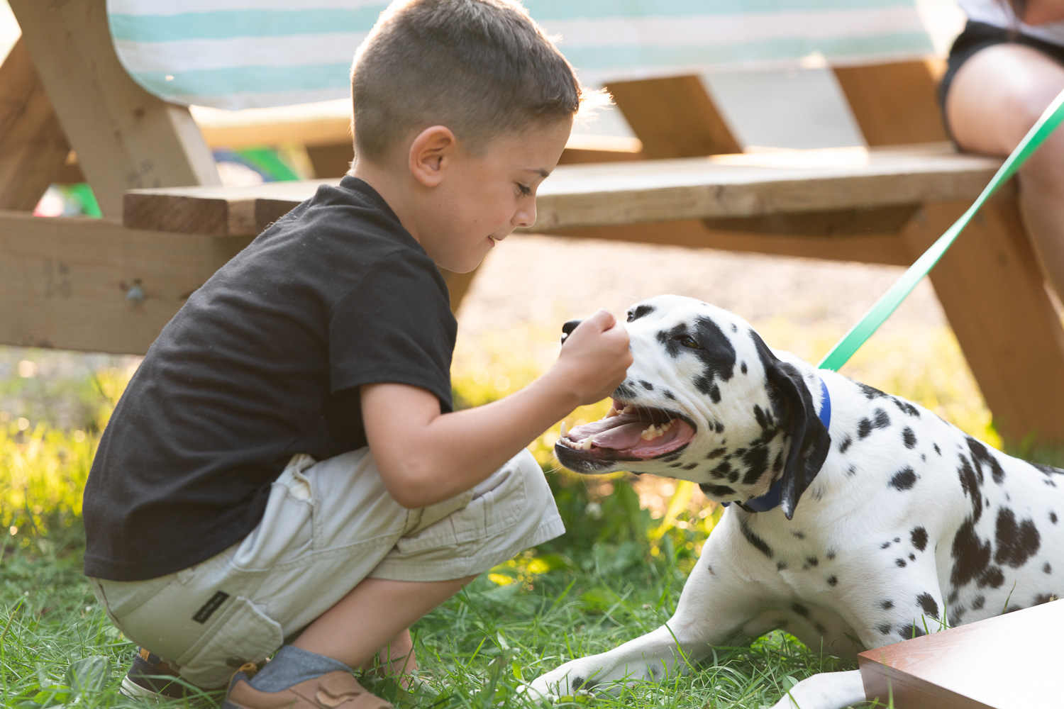 Camping Sommet Morin Heights Chien Accepté Famille Laurentides
