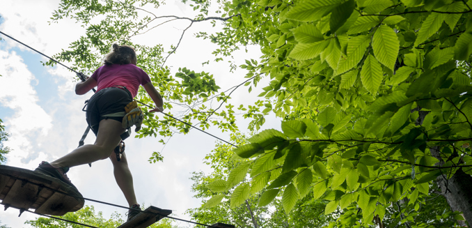 Sommet Morin Heights Acro Nature Parcours Adulte Plateforme Arbre Foret